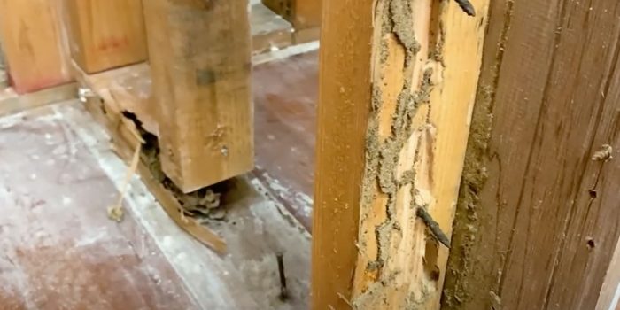 WRT-Timber-course-video-01-s
